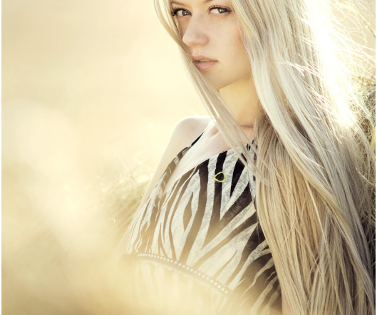 Find Your Perfect Match — It Starts with a Single Click